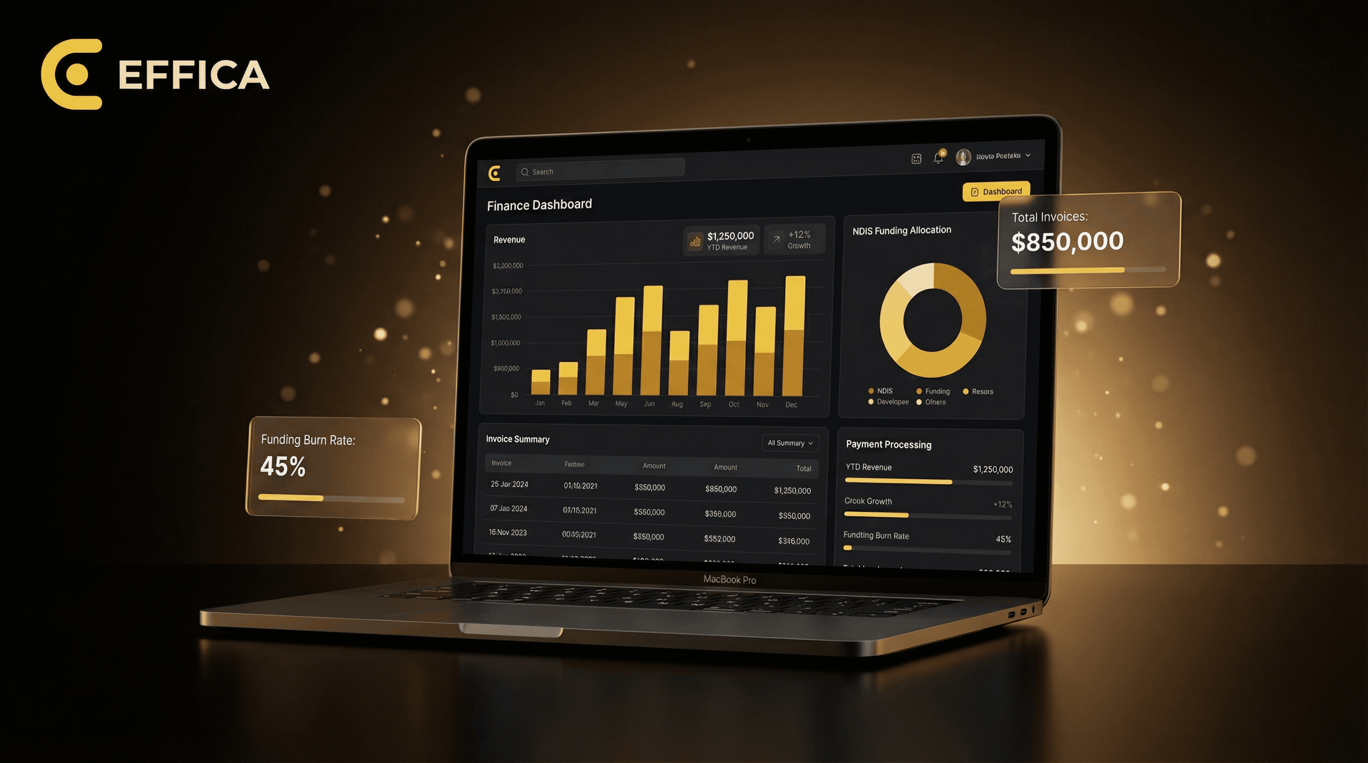 Effica NDIS Billing & Finance Software — invoicing, pay runs and funding tracking